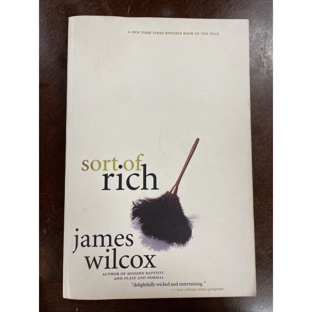 Sort of Rich By James Wilcox 1999 Back Bay Books *Cover Stains*